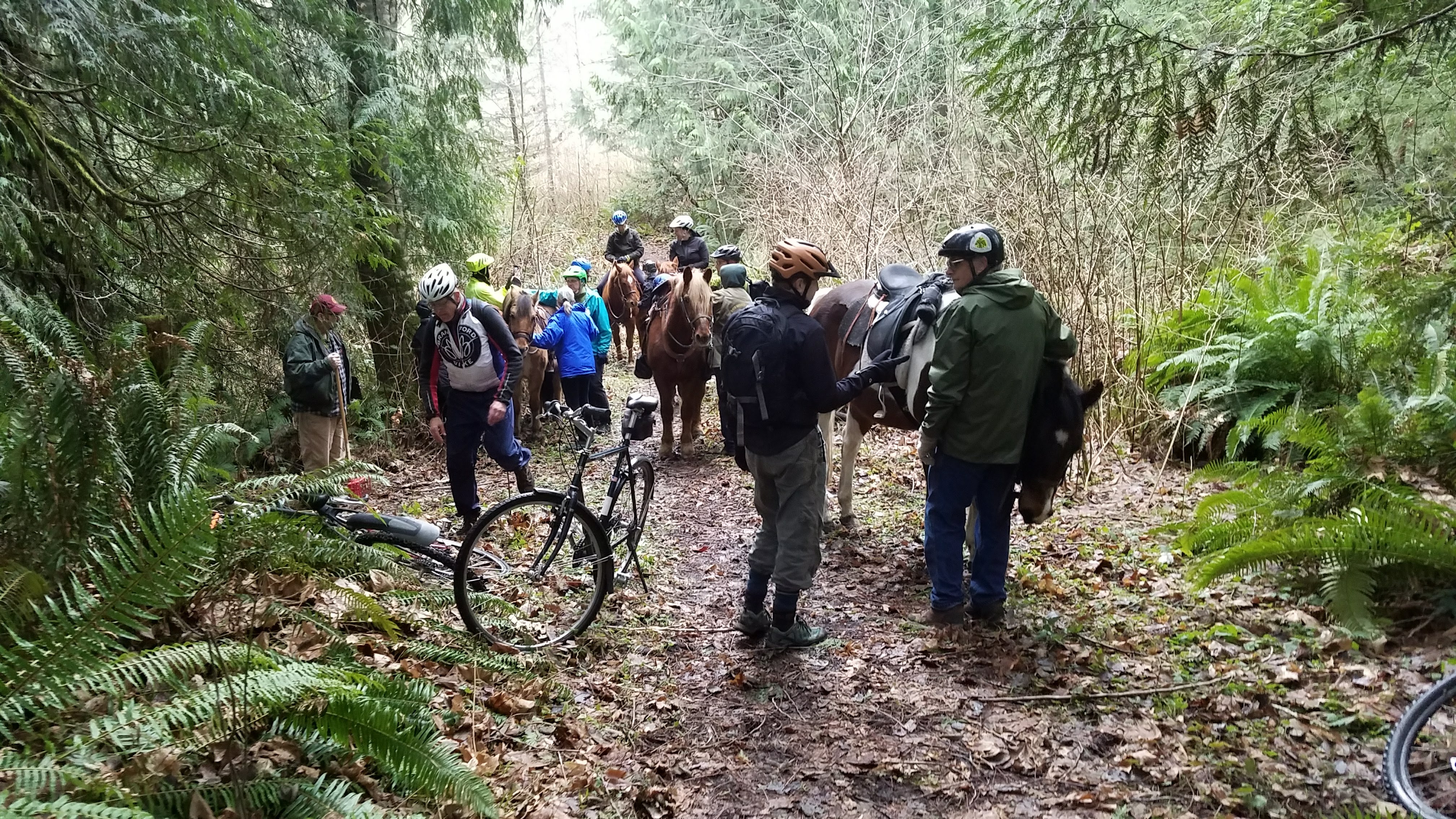 Anderson Lake VIP ride