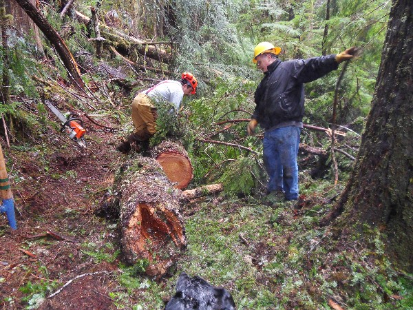 chainsawoperator.jpg