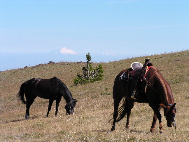 mounttownsend.jpg